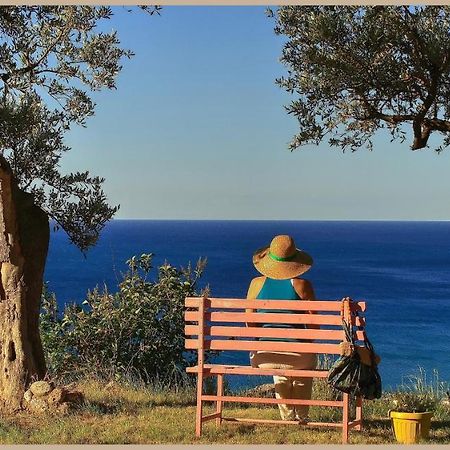 Villa Pierina Finale Ligure Bagian luar foto