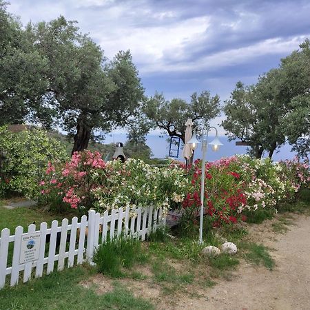 Villa Pierina Finale Ligure Bagian luar foto