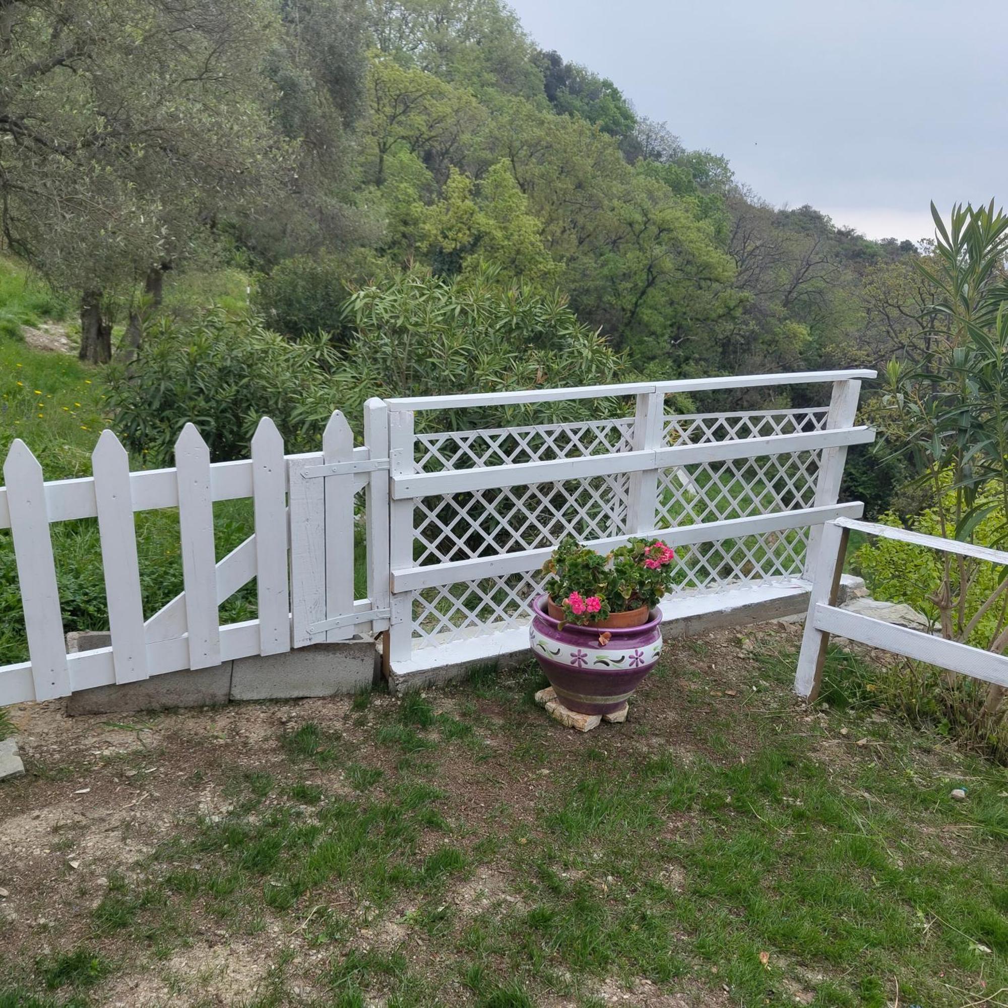 Villa Pierina Finale Ligure Bagian luar foto